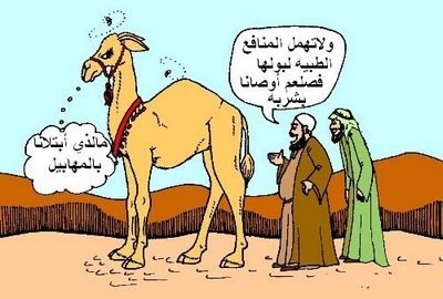 [CamelBeauty2[6].jpg]