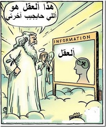 العقل العقل