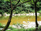 – 黒湾河附近 – 黒湾河附近