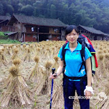 – 稻草堆间穿蓝衣服的阿菜 – 稻草堆间穿蓝衣服的阿菜