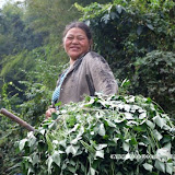 – 劳作的土家妇女 – 劳作的土家妇女