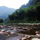 – 竹林 – 竹林