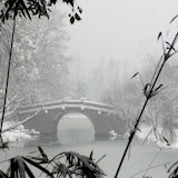 – 杭州西湖雪景·树 – 杭州西湖雪景·树