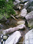 – 九龙山的山涧 – 九龙山的山涧