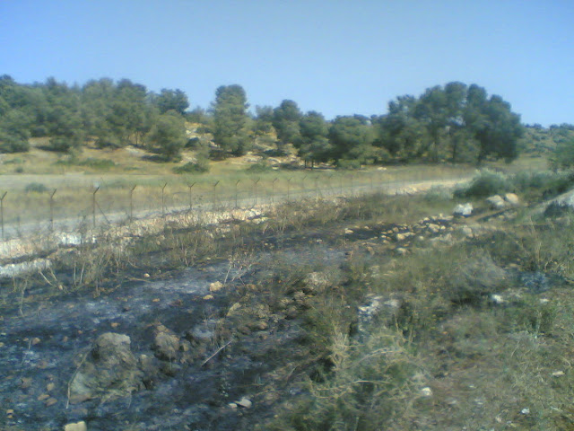 حريق عند الجدار %D8%B3%D9%81%D9%8A%D8%B1%D8%9B%28254%29