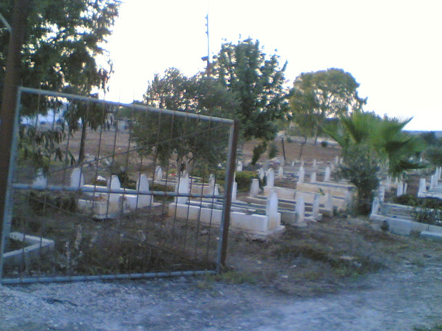 صور من عند مقبرة الشهداء Sultan%3B%281064%29