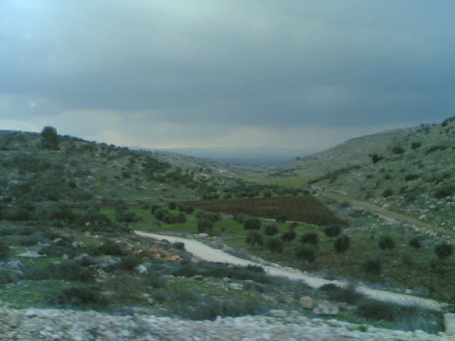 صور من وادي الحداد Sultan%3B%281433%29