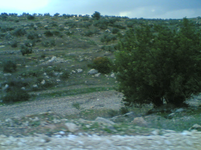صور من وادي الحداد Sultan%3B%281434%29