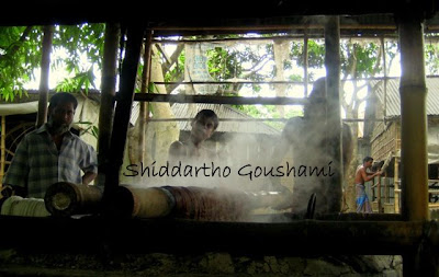 Picture Bangladesh, Photos of Bangladesh, Photography, Story of Bangladesh, life in Bangladesh, Travel Bangladesh, Architecture Bangladesh, Historical places, Photo, Picture, Pictures, Photos, food, culture, life, history, heritage, activity in Bangladesh.  &ndash; 