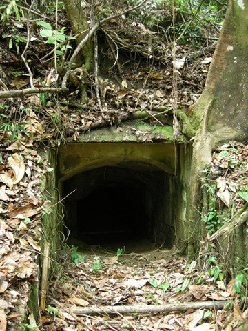 [resized000312.jpg]