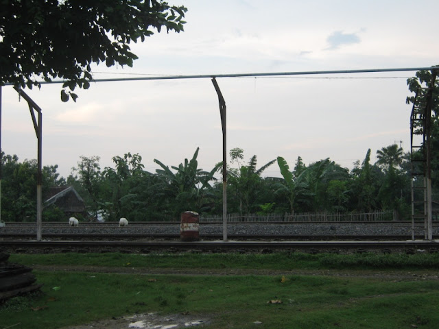 [Image: IMG_1949.JPG]