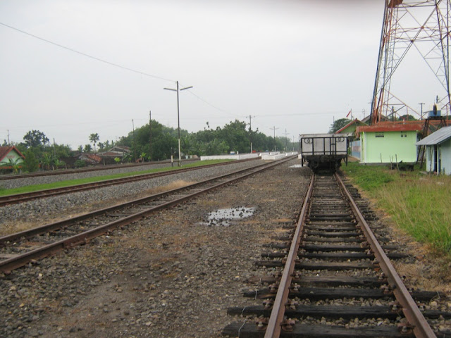 [Image: IMG_1955.JPG]