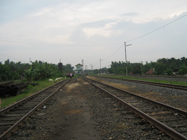 [Image: IMG_1956.JPG]