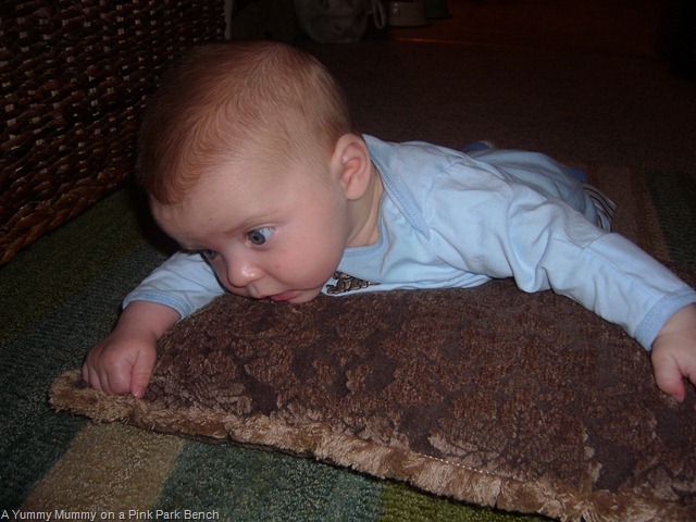 [P1020605[9].jpg]
