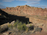 IMG_4902.JPG