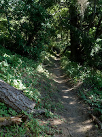 P1010262.jpg
