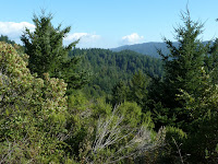 P1010376.JPG