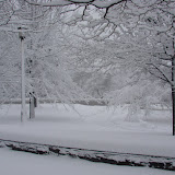 Nor'Easter