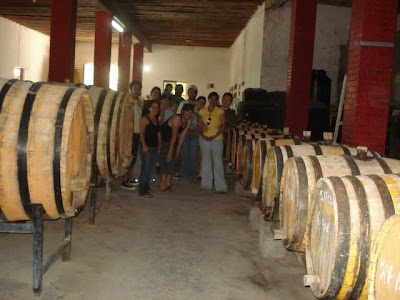 En el viñedo de los Ferriño