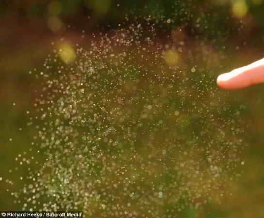 [bubble platzt_6[3].jpg]
