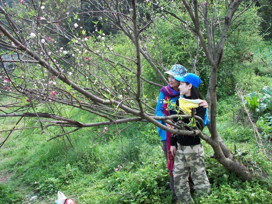 IMAGE: http://lh6.ggpht.com/_0R4kBESWztI/Scc752QbXQI/AAAAAAAAASI/5uWBCwl4lWU/s912/%E5%A9%BA%E6%BA%90%E4%B9%8B%E6%98%A5%20086.jpg