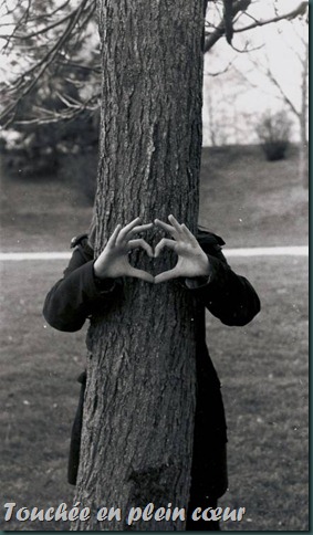 coeur tronc arbre