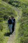 Spring Mt Tam Trekkers.jpg