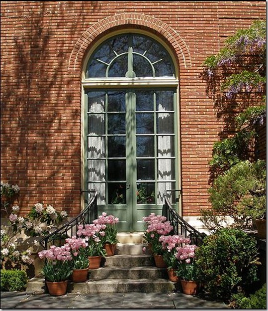 steps with tulips steps with tulips
