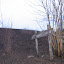 matangie's Other People's Gardens garden