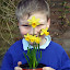 Littlest's Daffodil
