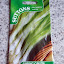 Spring onions