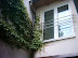 haus6.jpg