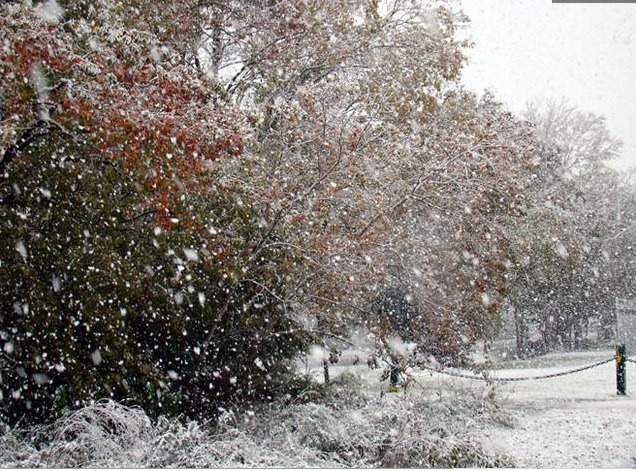 [snow in houston[5].jpg]