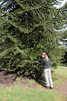 portland-gardens-7.jpg