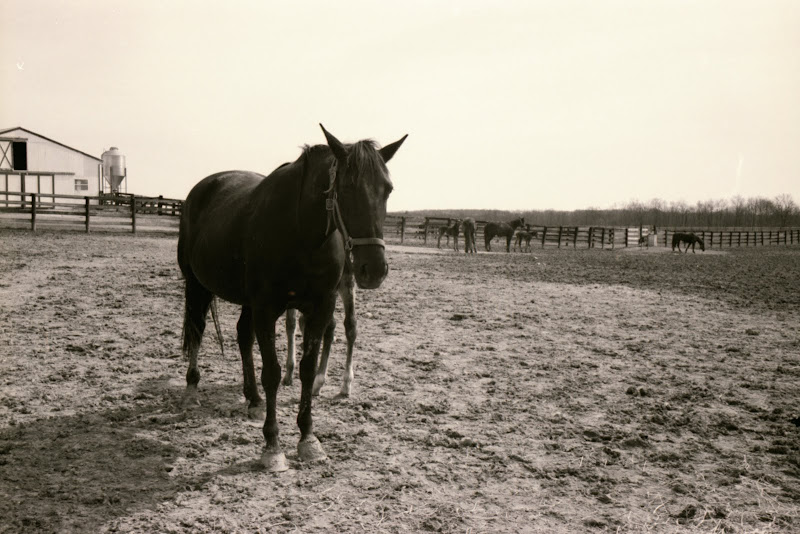 Untitled-Scanned-03.jpg