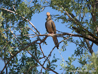 IMG_2246.JPG Photo