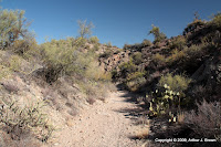 In a wash. (Youngberg, Arizona, United States) Photo