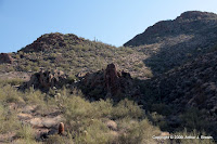 IMG_5116.JPG Photo