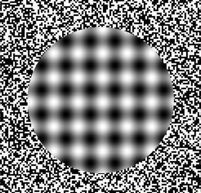[optical_illusions_73.jpg]