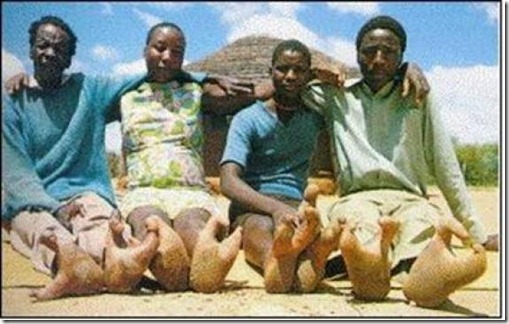 ostrich-people-zimbabwe.1239.large_slideshow