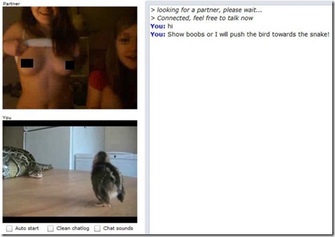 chatroulette_03