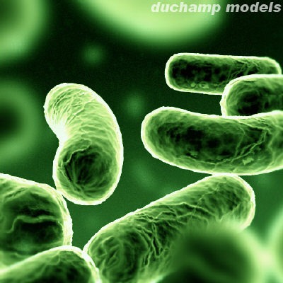 [bacteria53.jpg]