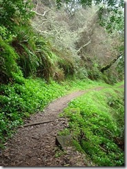 DSC05069