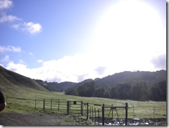 Picture1 038