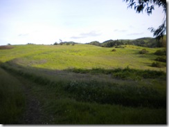 Picture 012