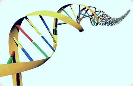 dna_500 dna_500