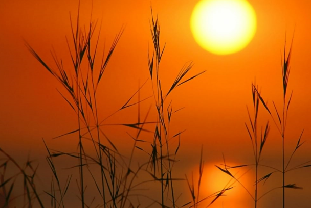 [image7.png]