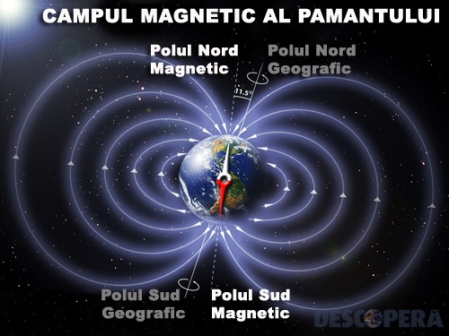[01-magnet[3].jpg]
