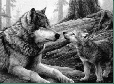 lobo13
