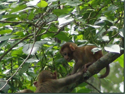 MOM AND BABY MOM AND BABY